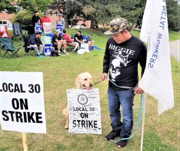 Members of Sheet Metal Workers’ and Roofers’ Local 30 were joined by a canine supporter during picketing at the Toronto Sheet Metal Contractors Association headquarters in Richmond Hill June 24. Local 30 Facebook.