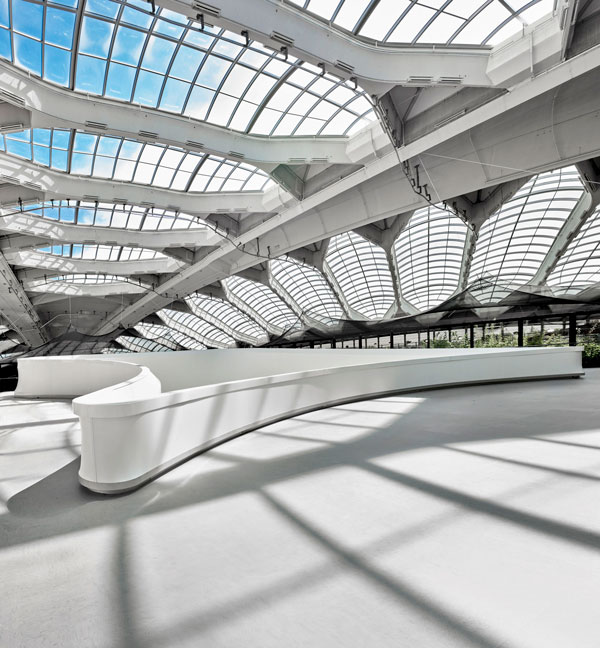 The vaulted roof of the original velodrome designed by Roger Taillibert is now in full view following the recent redesign of the Montreal Biodome.